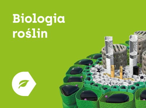 biologia roslin11.jpg