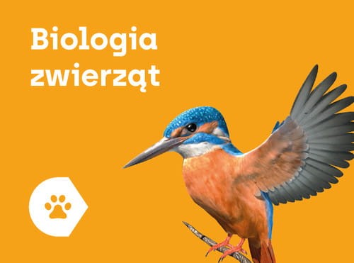 biologia zwierzat12.jpg
