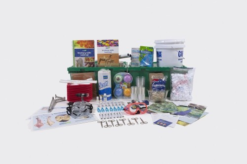 labolab struktury zwierzat.jpg