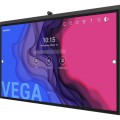 vega2.jpg
