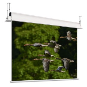 Ekran ścienny elektrycznie rozwijany Adeo Incell 1:1, 180x180cm Vision White, 100"