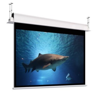 Ekran elektryczny Adeo do zabudowy Incell 400x300 cm (4:3), Vison White  197"