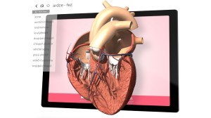 Corinth Online - 10 kont / 12 miesięcy